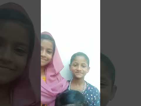 സൂപ്പർ പേർഷ്യൻ cat