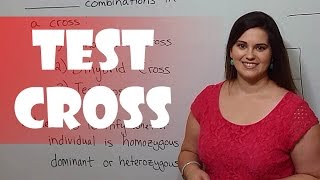 Test Cross (to Determine Genotype)