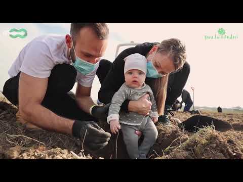 Plantare Vânătorii Mici, Giurgiu, 2020 #RomaniaPlanteaza