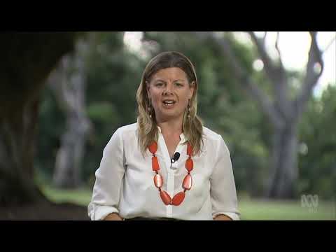 McArthur Mine expansion approved against sacred site authority's advice