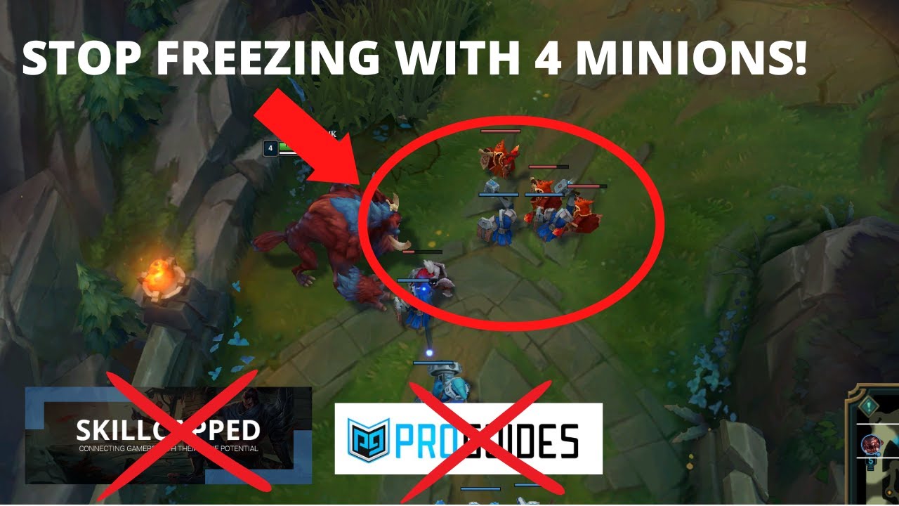 How to ACTUALLY freeze and why I dislike Proguides/Skillcapped