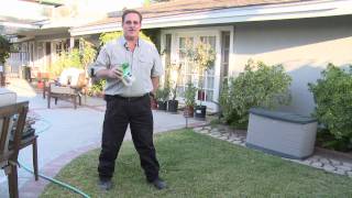 Home & Lawn Pest Control : How to Get Rid of Moles in Your Lawn.
