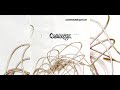 Converge - Downpour / Serial Killer (full) 1997 original mix