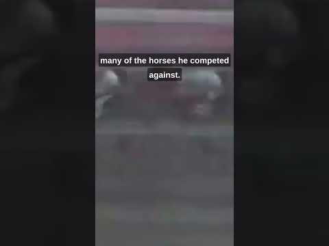 ✨Northern Dancer - #Canadian #legend in #horseracing !