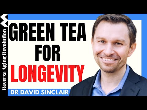 GREEN TEA FOR LONGEVITY | Dr David Sinclair Interview Clips