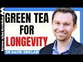 GREEN TEA FOR LONGEVITY Dr David Sinclair Interview Clips