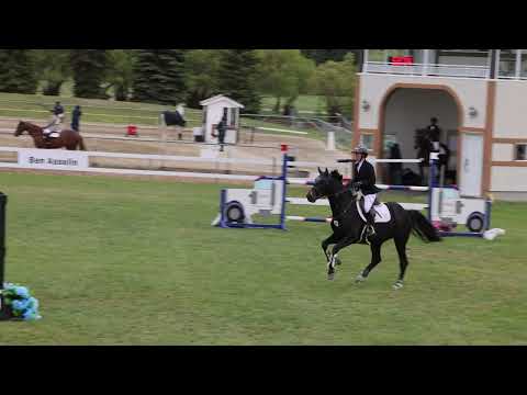 Saga V/D Voortakker horse shows