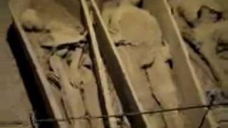 St Michans Church Dublin Mummies Video