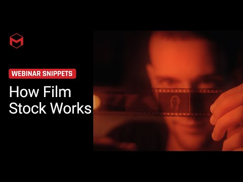 How Film Stock Works
