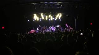 Hidden in Plain View - Garden Statement