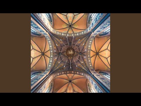 Graduale. Protector noster (feat. Mulier Cantat in Ecclesia)