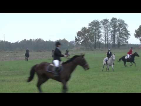 Płoskinia: Pogoń za lisem - HUBERTUS 2012