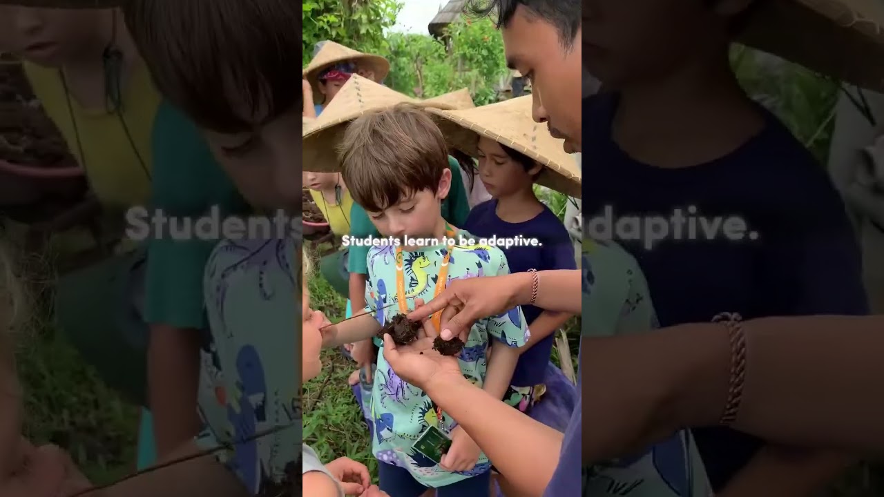 🌱 Fast food or real food? 🍔🥦