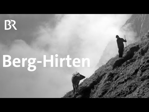 Das harte Leben auf der Alp: Hirten in den Allgäuer Bergen | Zwischen Spessart und Karwendel | BR