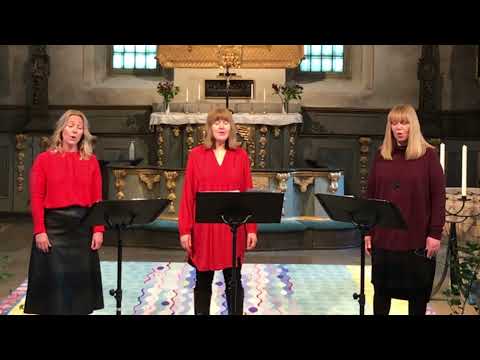 Still, still, still med vokalensemble Big Ace