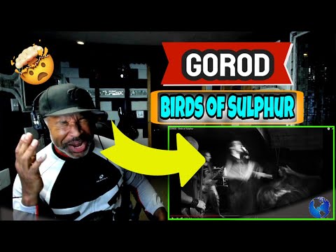 GOROD   Birds of Sulphur - Producer Reaction