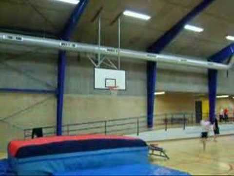 Show team (Vejle Spring Team)