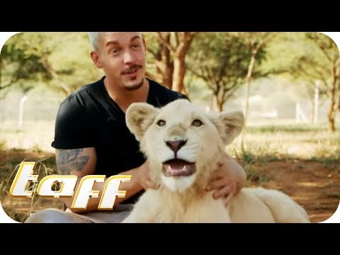 Life Among Lions! Dean Schneider trades high society for animal rights! | taff | ProSieben