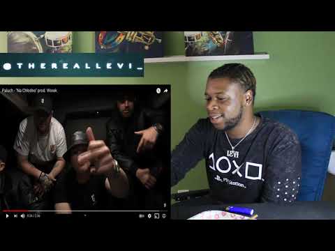 TRL Reaction / Paluch - "Na Chłodno" (PolishRap)