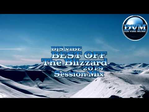 Djs Vibe - Best Off The Blizzard 2019 (Session Mix)