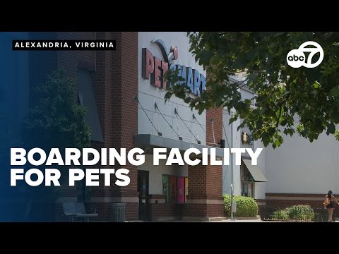 Petco Boarding