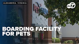 Can you know if a boarding facility is safe for your pet