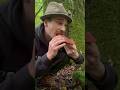 Anyone Can Identify A Wild Mushroom Foraging Mushrooms