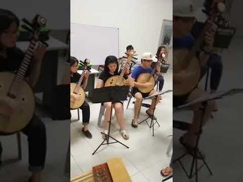 Despacito in Chinese Orchestra (practice)