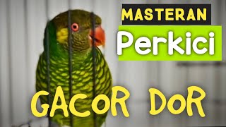 Download lagu Masteran /Pancingan#perkici #tembakankasar #tembakanistimewa #masteranmuraibatufullisian mp3 Download lagu Masteran /Pancingan#perkici #tembakankasar #tembakanistimewa #masteranmuraibatufullisian mp3