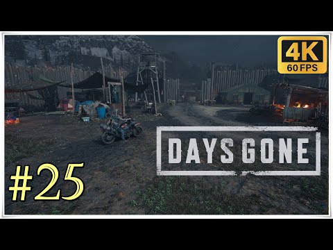 Days Gone | Gameplay Walkthrough Part 25 | No Commentary [4K60 | PC Longplay]