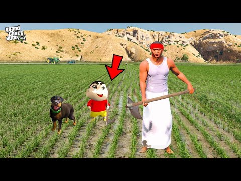Franklin Become A Farmer in GTA 5 !