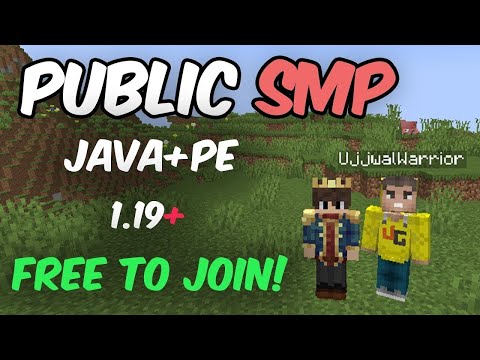 InSane - Minecraft Live 🔴 Public SMP | Java + Pe | Cracked