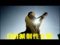 阿部真央ABE MAO 「FREE 自由自在」 15cm 