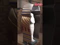 Mummified Alive