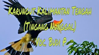 Download lagu Karungut Kalimantan Tengah (Tingang Nunggal) mp3