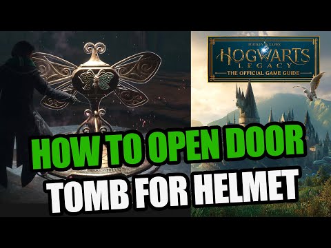 How to Solve Moth Butterfly Puzzle in Hogwarts Legacy Tomb for Helmet Quest