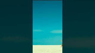 Download lagu 💞Gummuru tappara Gummuru tappara💞full screen 💞whats app 💞status video💞HD💞#vineeshabi mp3 Download lagu 💞Gummuru tappara Gummuru tappara💞full screen 💞whats app 💞status video💞HD💞#vineeshabi mp3