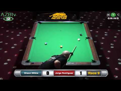 2014 Steinway Classic - Shaun Wilkie vs Jorge Rodriguez