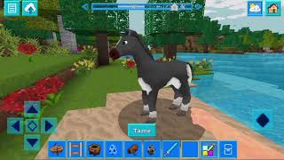 Minecraft Gameplay