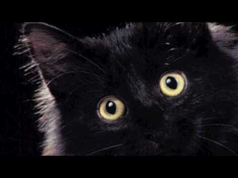 Latoya Audition for jheyjuneice