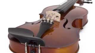 Video thumbnail for Cecilio CVN-300 Violin Product Demo by ceciliomusic