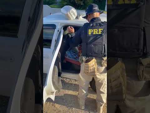 PRF prende traficante com skunk na BR-290 em Caçapava do Sul; droga vinha da Fronteira