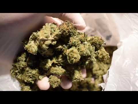 ERIK TRESOR - Furt |Official Video| 🔞🔞