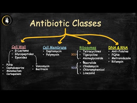 Antibiotics - overview of classes