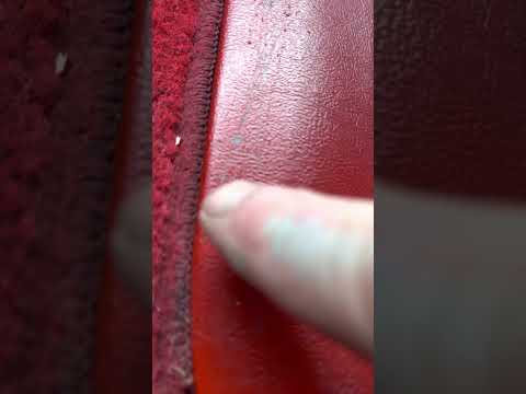 Is SEM color coat flexible coating durable?