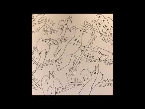 Video thumbnail for Bird on a Wing