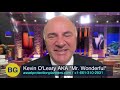 Mr Wonderful Kevin O'Leary on Asset Protection Planners and General Corporate Services, Inc. Reviews