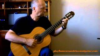 Classical Guitar - Pavane for a Dead Princess