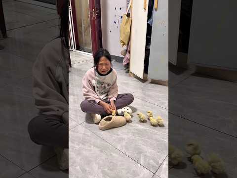 Mom Accidentally Stepped on Her Chick. She Couldn't Stop Crying