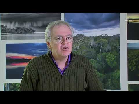 'Rios voadores': fenômeno natural leva umidade da Floresta Amazônica para outras regiões